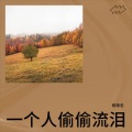 杨荣忠 - 一个人偷偷流泪