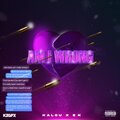 AM I WRONG (Explicit)