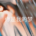 Rexz - 你是我的梦