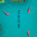 阿由ayou - 棠梨煎雪