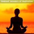 Ambient Wonders Of Meditation