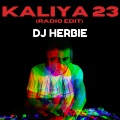 DJ Herbie - Kaliya 23 (Radio Edit)