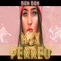 DJ NESTOR - BUMBUM TREME MIX PERREO