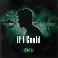 Low D - If I Could