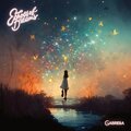 Gabriella - Crucial Conversation