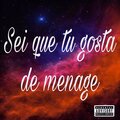 DJ CHRIS SP、Iraqui Zl - Sei que tu gosta de menage (Explicit)