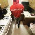 Sluts (Explicit)