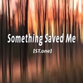 Something Saved Me