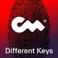 Veni Midi、Jenna Cogan、Samay、Closer Music、Piotr Stempniewicz、Krzysztof Wieczerzyński、Adam Joseph - Different Keys