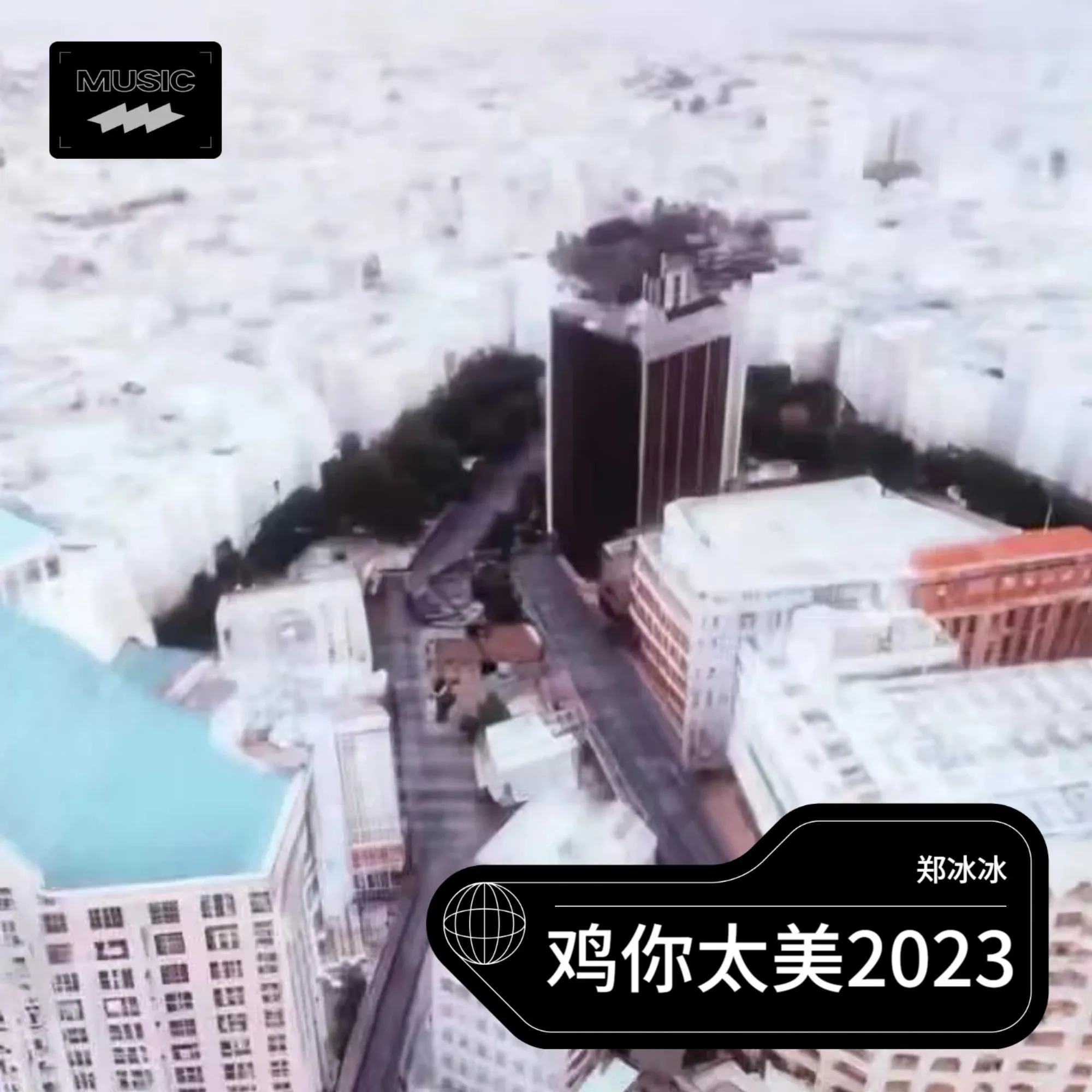 鸡你太美2023