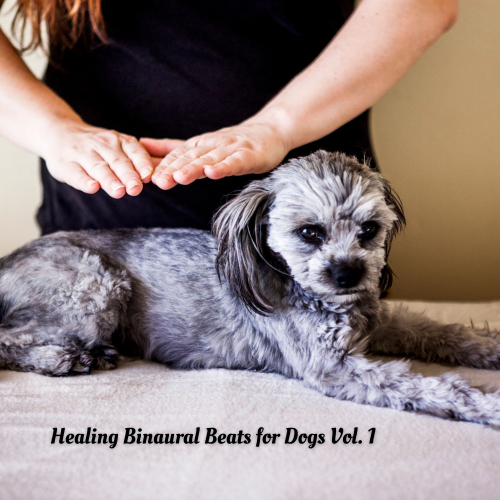 Dogs Music Therapy、Pets Relax、Sleepy Pets - Eternal Discovery
