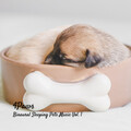 101 Noise、Relax My Kitten、Dog Music Library - Binaural Nap