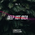 Deep Hot Ibiza, Vol. 3
