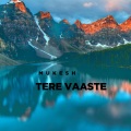 mukesh、Mukesh Gurjar - Tere Vaaste