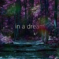 in a dream