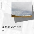 小方 - 连哭都是我的错