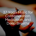 Yoga Music、Yoga、Zen - Zen Music for Yoga Sessions, Pt. 8