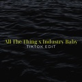 All The Thing x Industry Baby (TikTok Edit)(Remix)