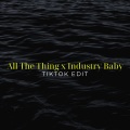 Xanemusic、manu rg - All The Thing x Industry Baby