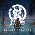Jaro、Blu3cat - Summer Treasure (Anduschus Remix)
