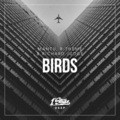 R-Theme、Mantu、Richard Judge - Birds (Extended Mix)