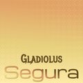 Gladiolus Segura