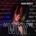 Why (Explicit)