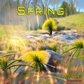 Trevor Hall - Spring