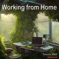 Trevor Hall - Working from Home (Remastered)