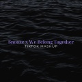 Snooze x We Belong Together (TikTok Mashup)(Remix)