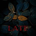 Captain - Late