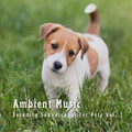 Calm Dog Music、Pets Total Relax、Gentle Outdoors - Slow Tonal Ambient Sound
