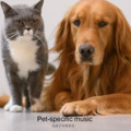 宠物音乐|缓解紧张|助眠|铲屎官必备|各种犬猫小宠物必备