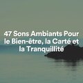 Musique Relaxante、Chakras Yoga Spécialistes、Musique Douce Ensemble - Musique Relaxante Bebe