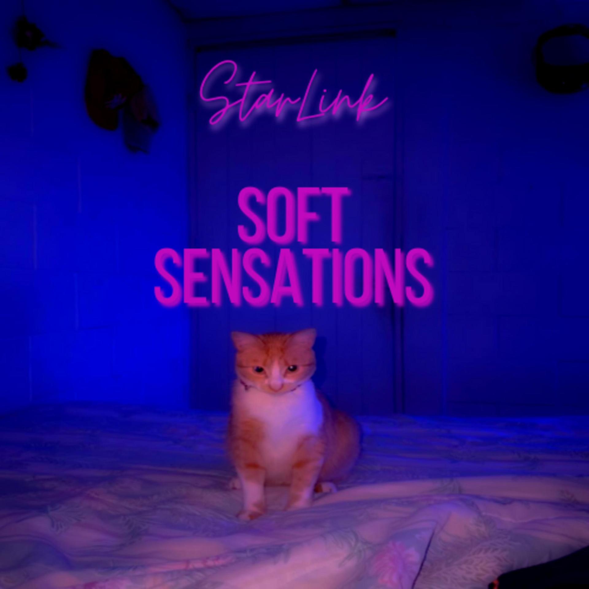 Starlink - Soft Sensations