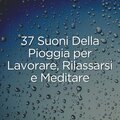37 Suoni Della Pioggia per Lavorare, Rilassarsi e Meditare