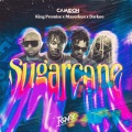 Sugarcane (Remix|Explicit)