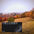 汤汤 - 不要忘记我爱你
