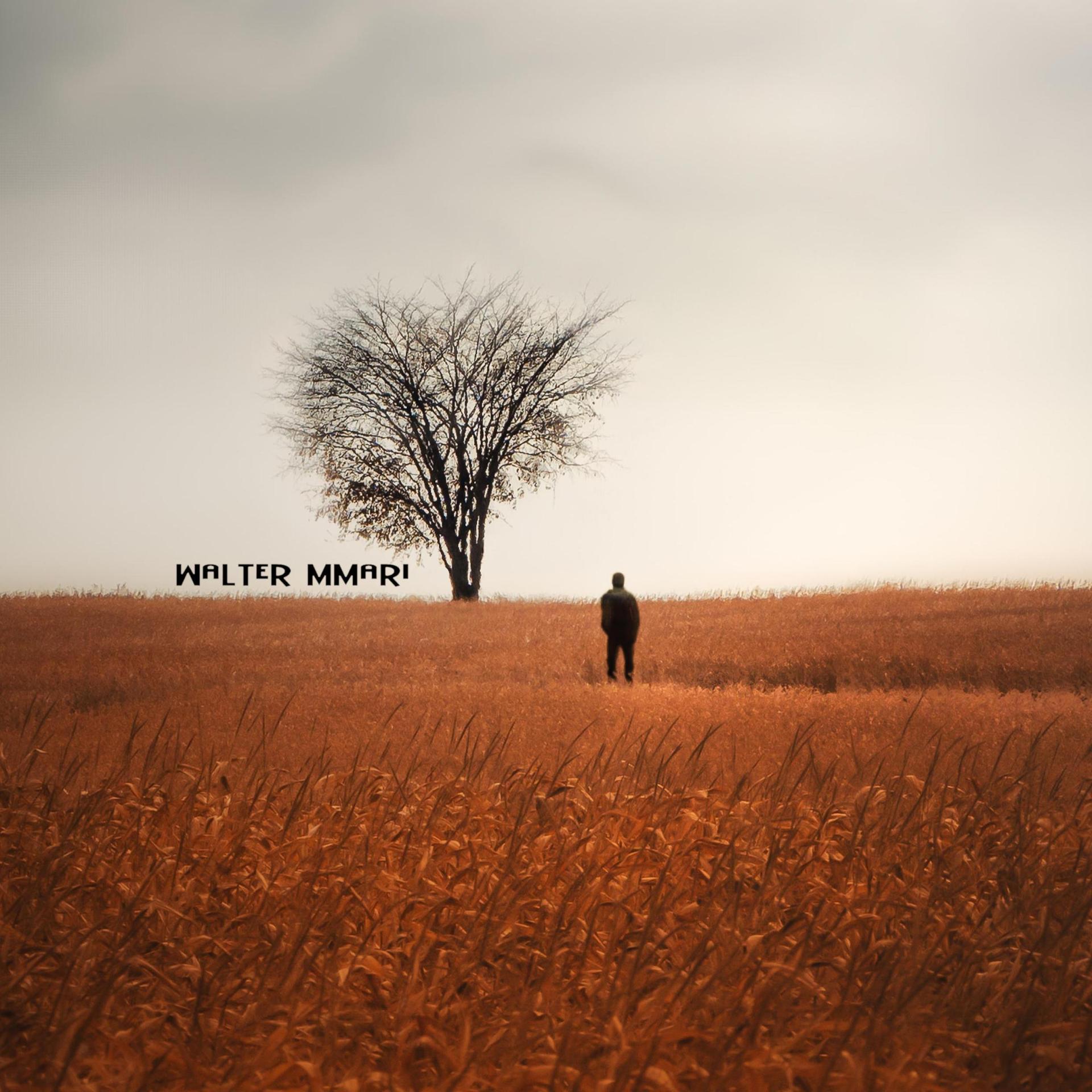 Walter Mmari - Changing Seasons