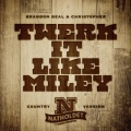 Twerk It Like Miley (feat. Brandon Beal & Christopher)(Country Version|Explicit)