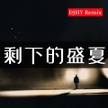 剩下的盛夏 (DJHY remix)