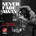 P.T. Adamczyk - Never Fade Away