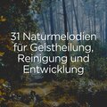 Waldgeräusche、Heilende Geräusche Der Natur Academie、Naturgeräusche Meditationsmusik - Die herrlichkeit der Natur, pt. 19