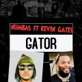 GATOR (Dirty|Explicit)