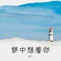 余飞 - 梦中想着你