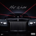 HAZZY、Davethaowner - Will Sheine Bunt (Explicit)