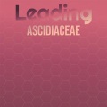 ANZA - Deactivate Lists