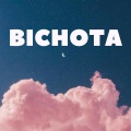 Tik Tok Virales - Bichota (Remix)