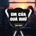 Em Của Quá Khứ (EDM)