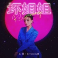 王蓉 - 坏姐姐